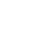 Ray 1
