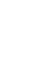 Ray 2