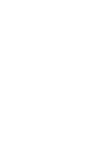 Ray 4